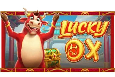 13win Live Casino